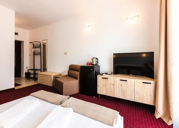 Guest house Theona 4*